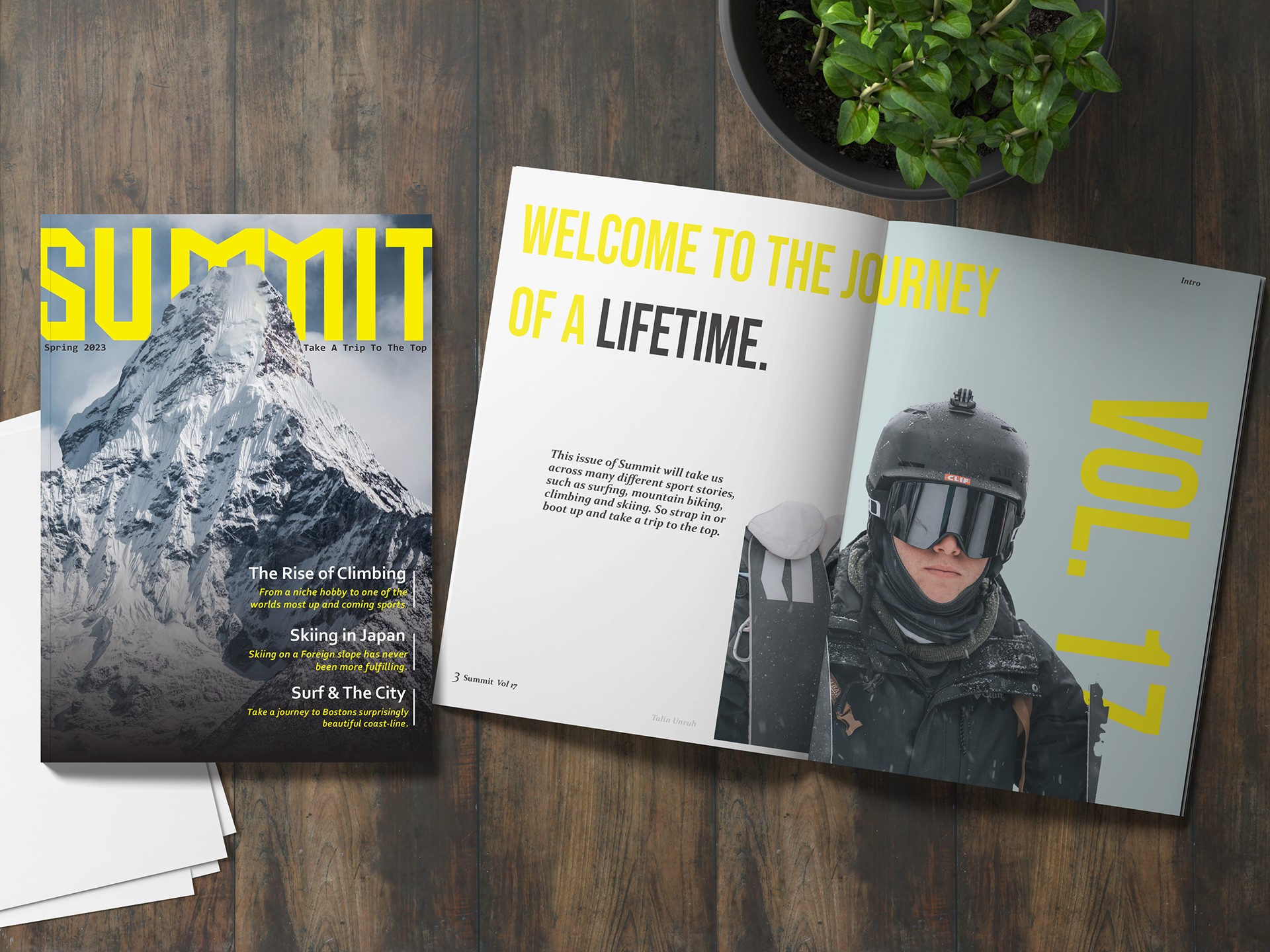 Summit project preview
